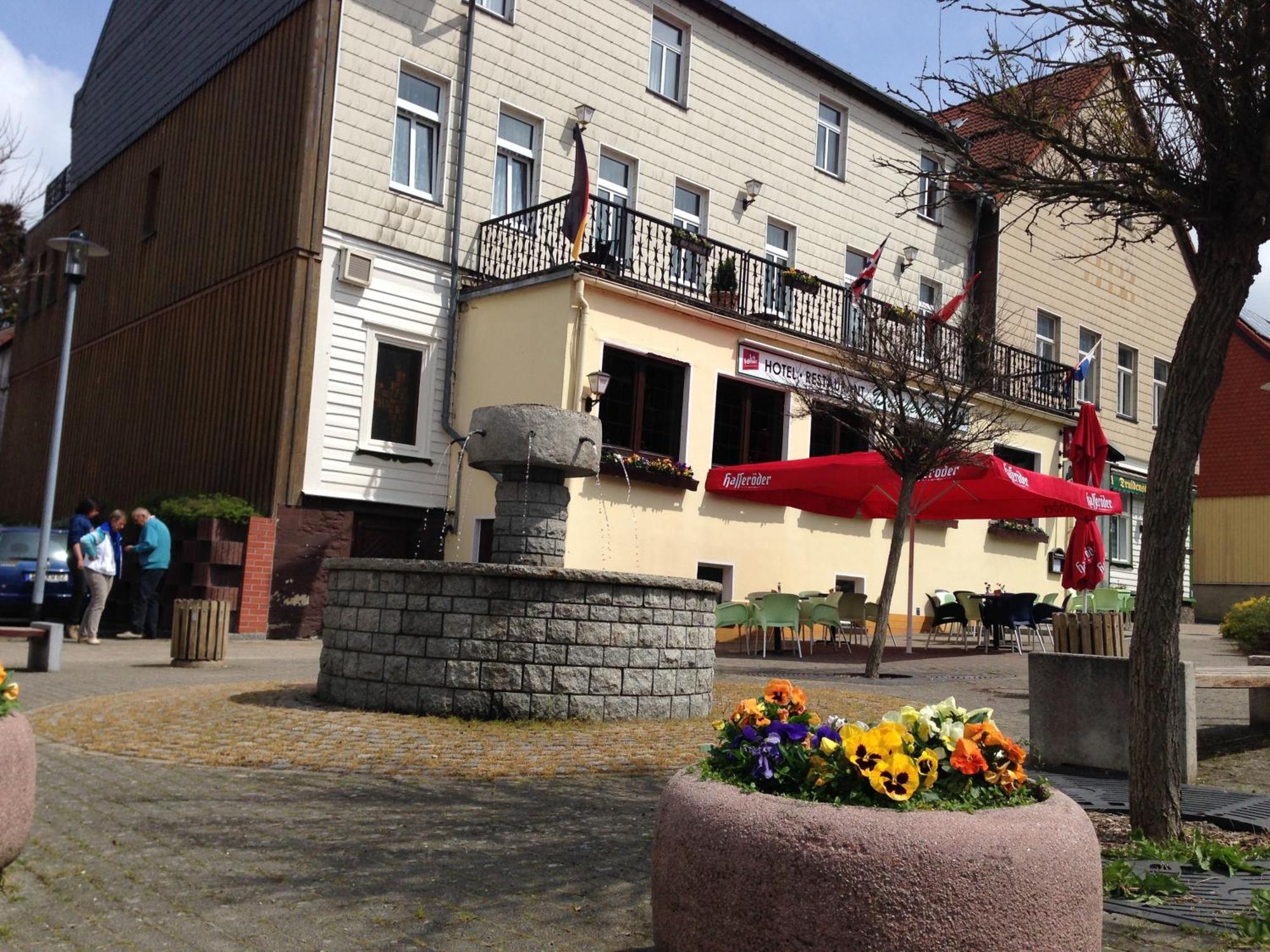 Hotel & Restaurant Druidenstein Trautenstein Экстерьер фото